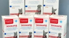 Pregătirea zoocard pentru pisici: asistență în bolile cardiovasculare